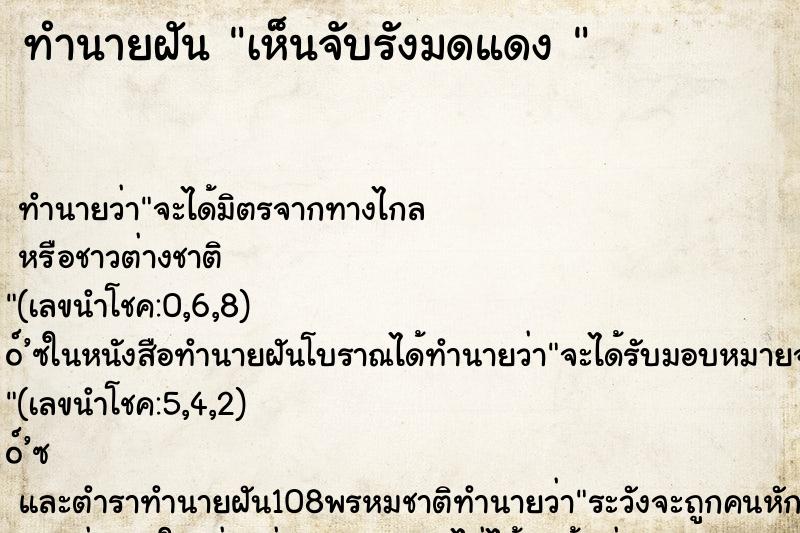 ทำนายฝันทำนายฝันเห็นจับรังมดแดง